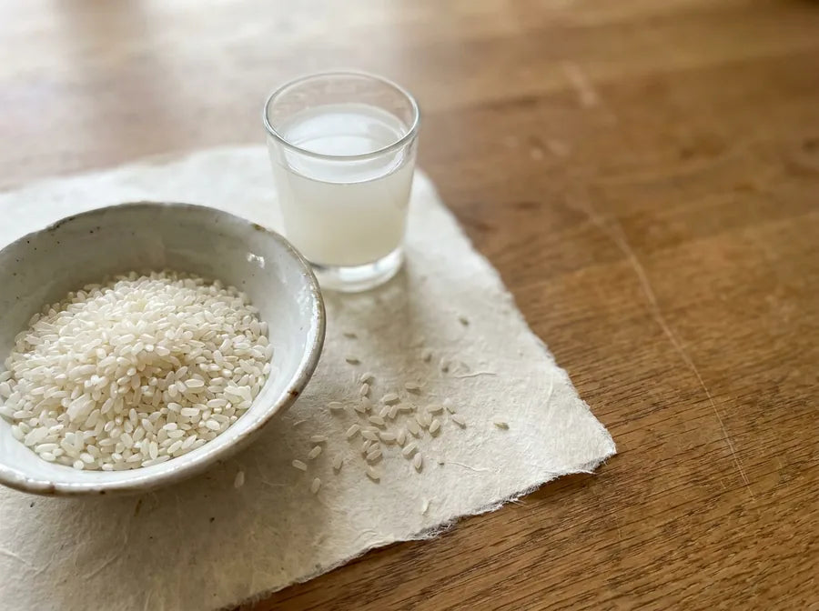 Extracto de arroz